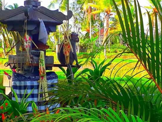 Amaya Cottage Ubud By Shm Exterior photo