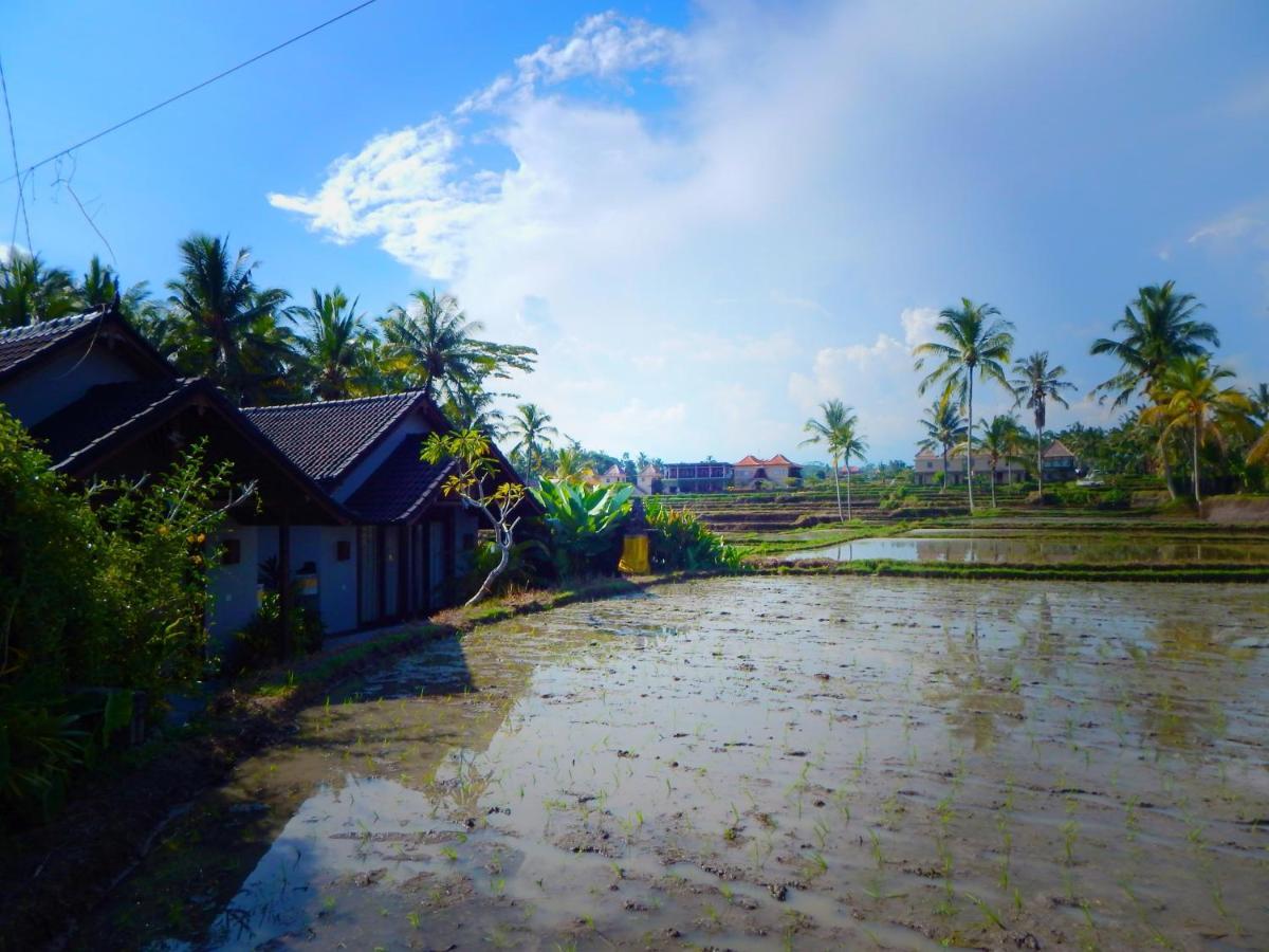 Amaya Cottage Ubud By Shm Exterior photo
